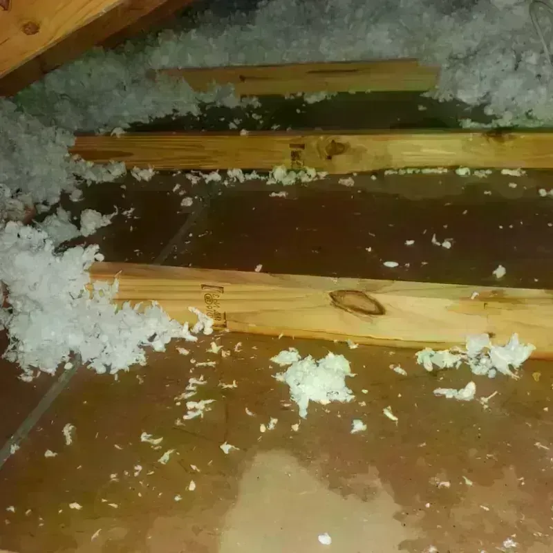 Attic Water Damage in Livingston, LA