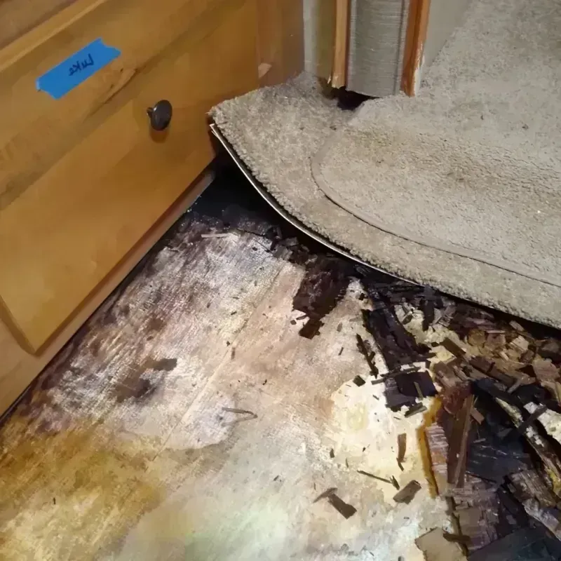 Wood Floor Water Damage in Livingston, LA